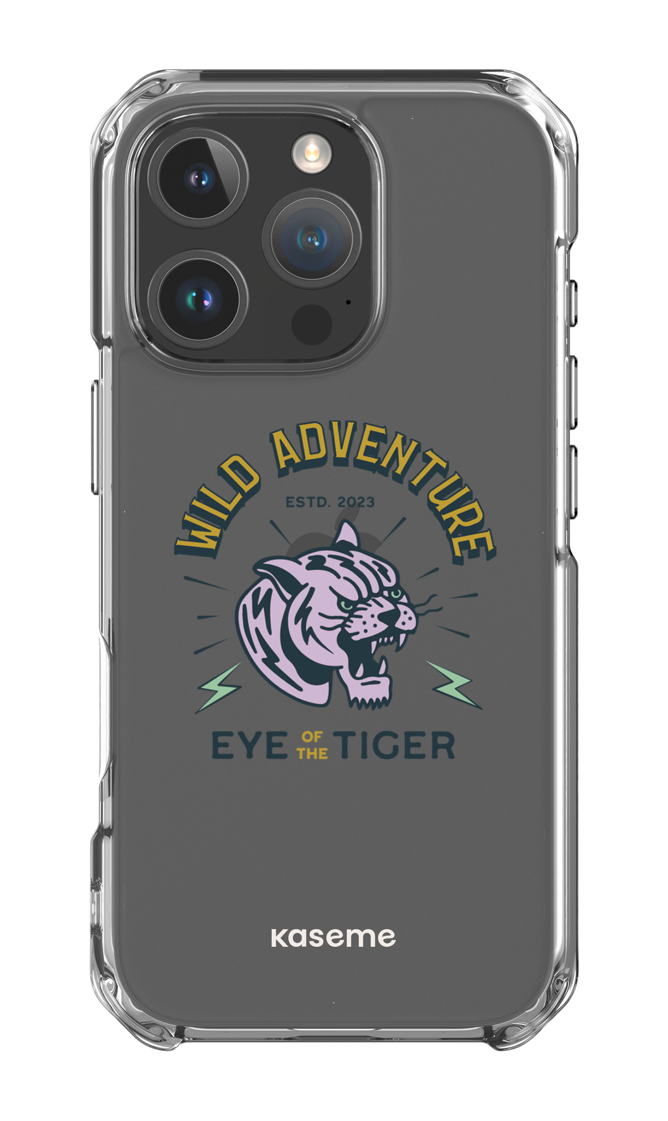 Wildcats clear case - iPhone 16 Pro