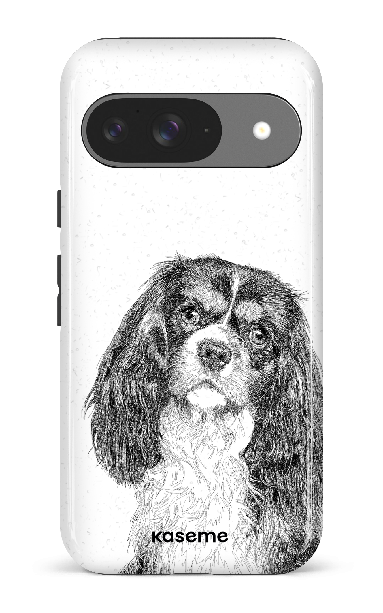 Cavalier King Charles Spaniel - Google Pixel 9