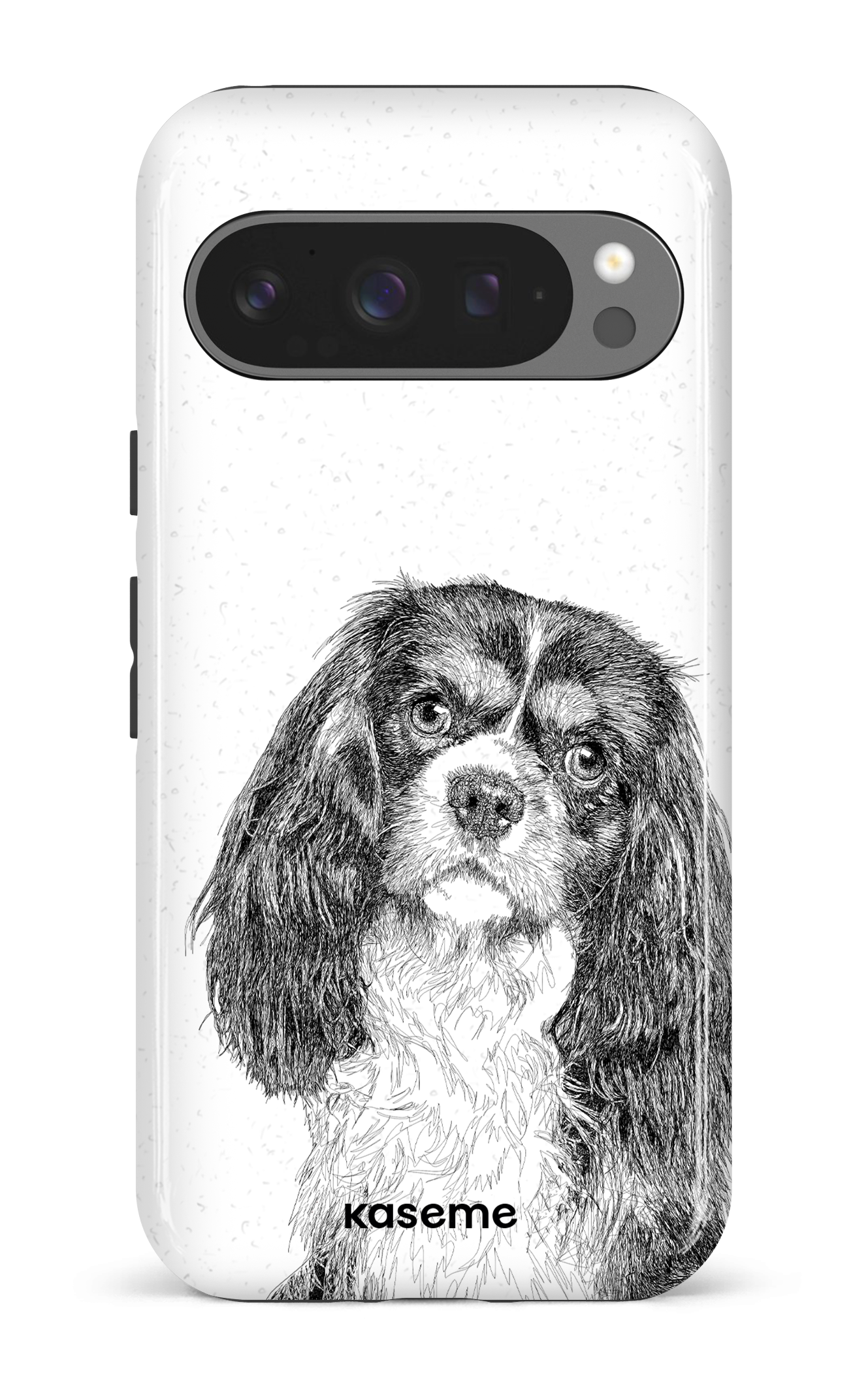 Cavalier King Charles Spaniel - Google Pixel 9 Pro