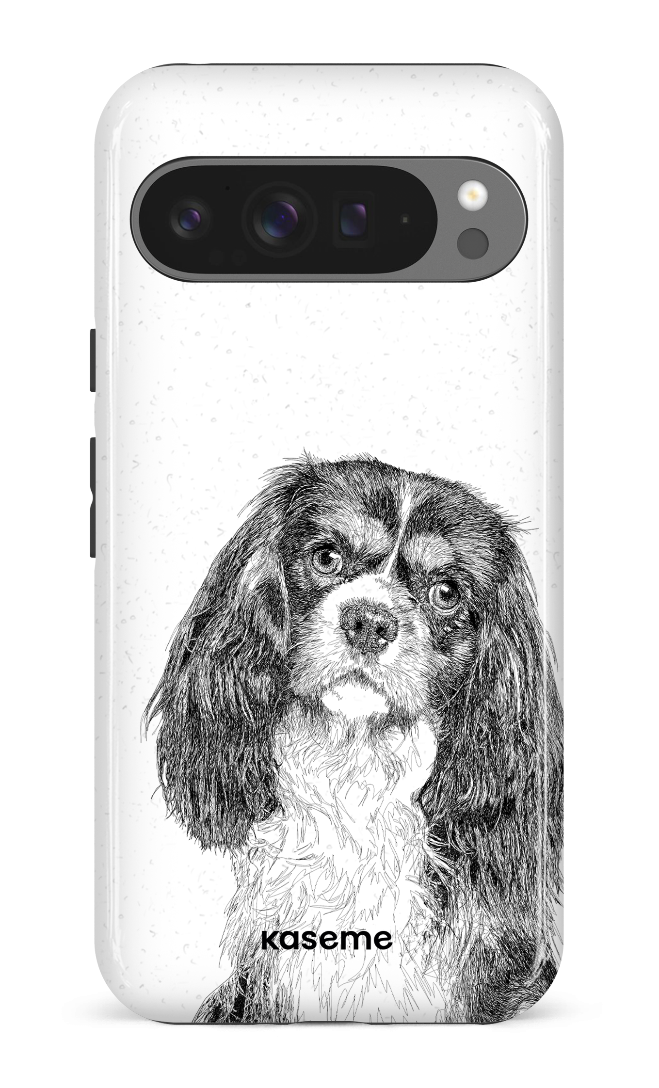 Cavalier King Charles Spaniel - Google Pixel 9 Pro XL