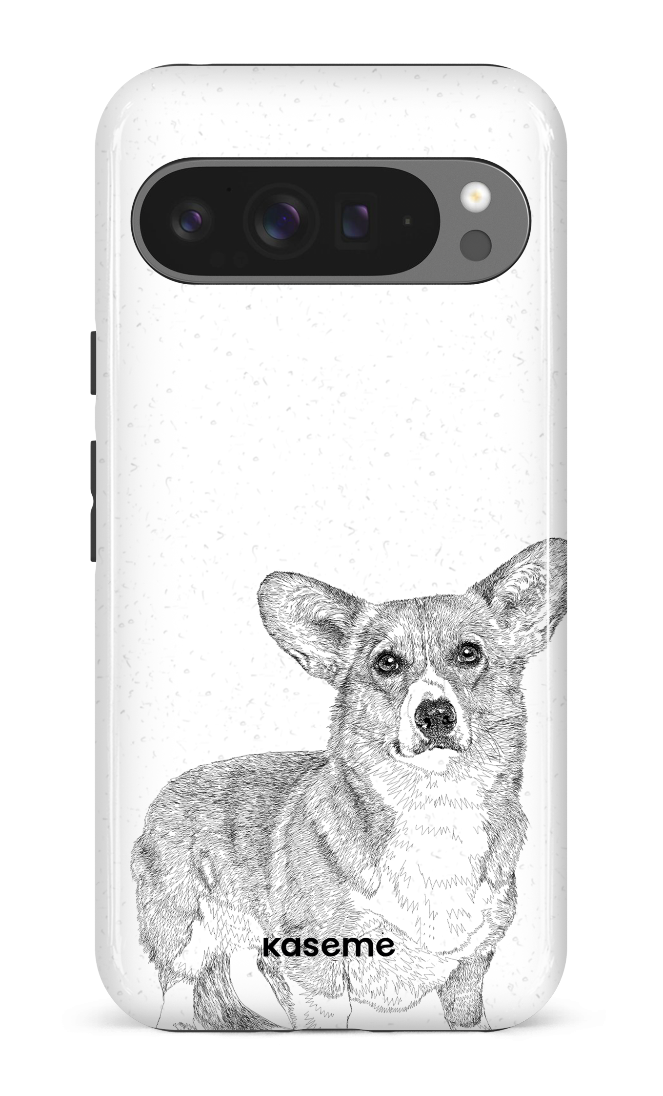 Pembroke Welsh Corgi - Google Pixel 9 Pro XL